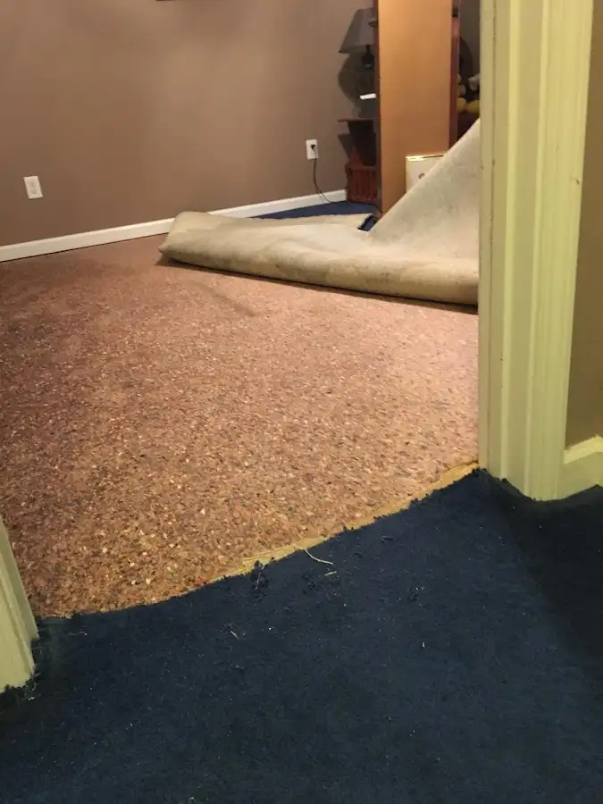 Carpet pad removal revealing water damage during Drying & Dehumidification in Erlanger