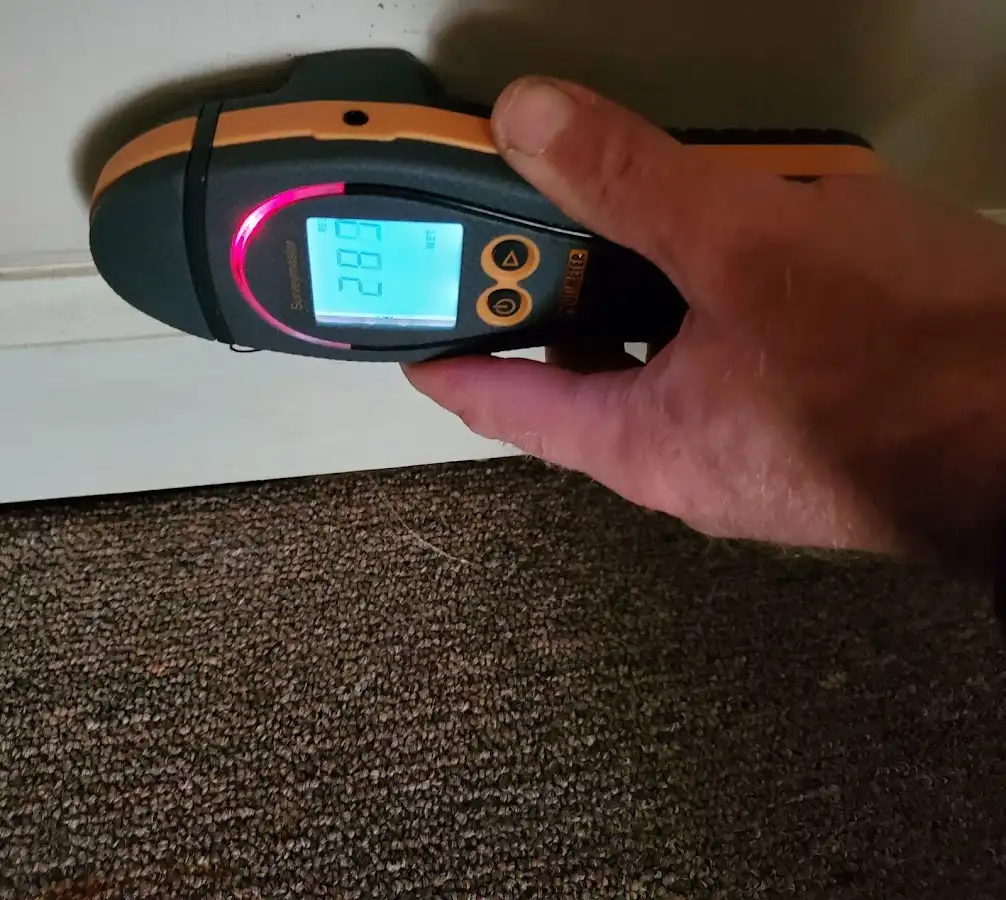 Moisture detection at baseboard during Mold Inspection & Testing in Erlanger